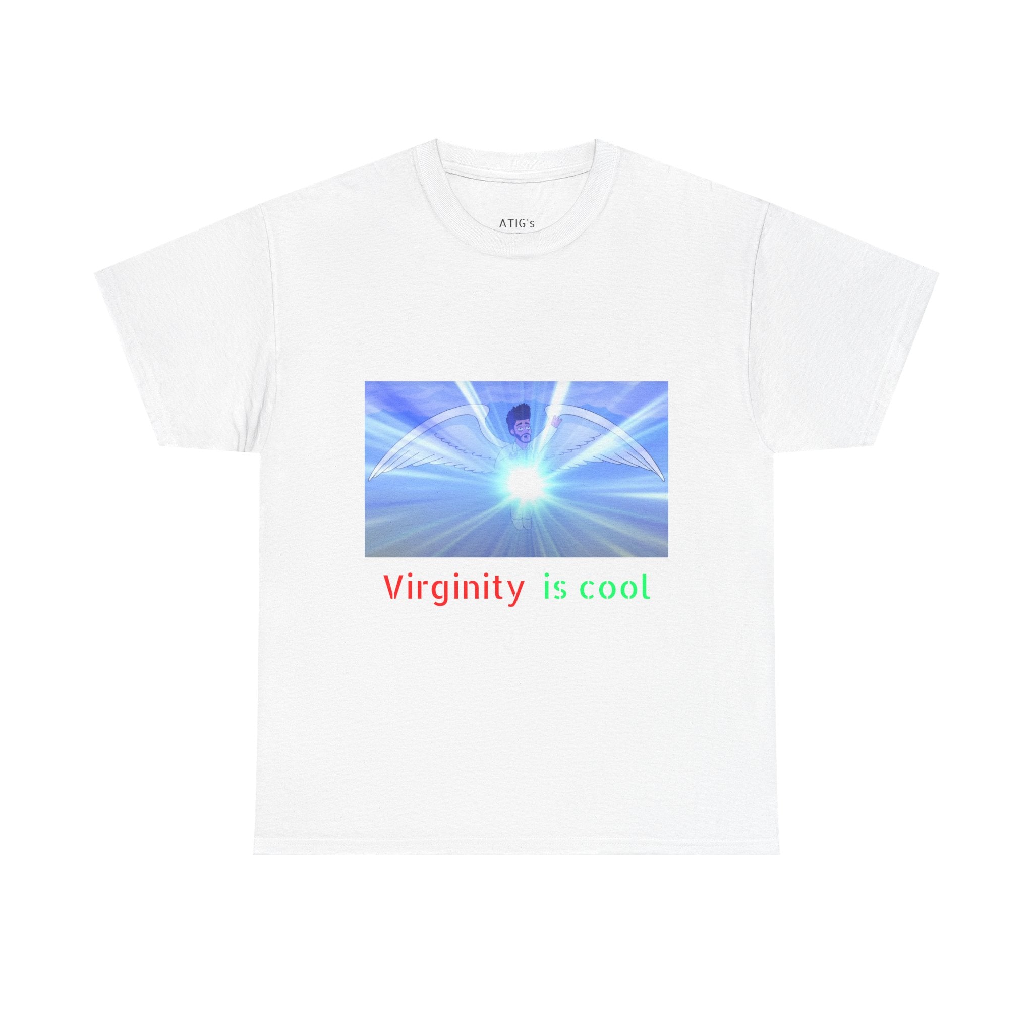 VIRGINTY IS COOL T-SHIRT