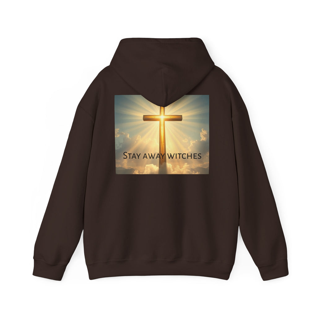 Unisex Hoodie ' I am afraid of women ', " stay away witches",, Perfect for Everyday Wear, Gifts, Gym, or Casual Outings, funny. alpha, instagram, meme